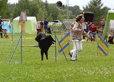 Vsters Agility 2003.